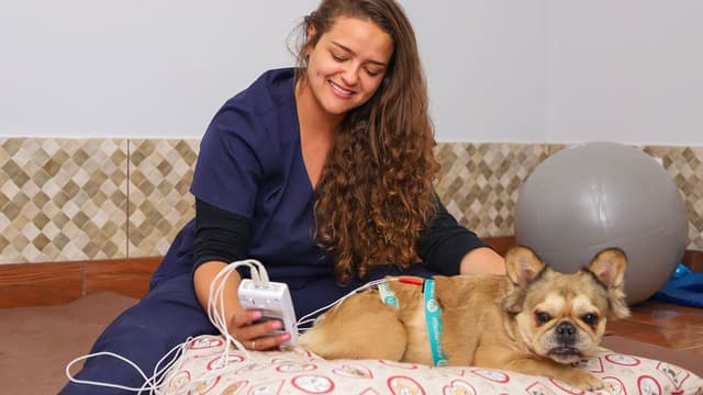 Dra. Carol Sampaio-Fisioterapeuta